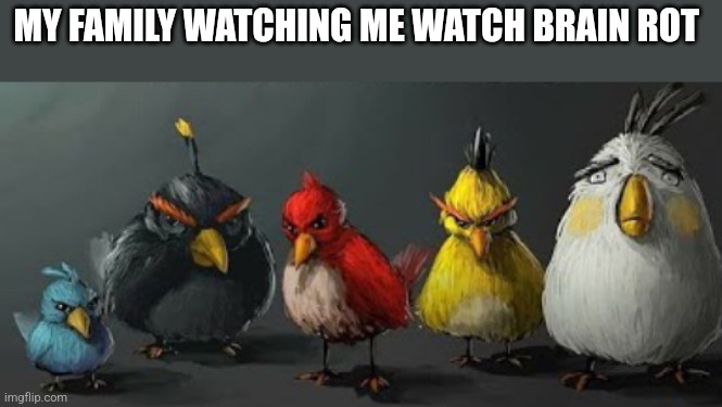 They | MY FAMILY WATCHING ME WATCH BRAIN ROT | image tagged in they | made w/ Imgflip meme maker