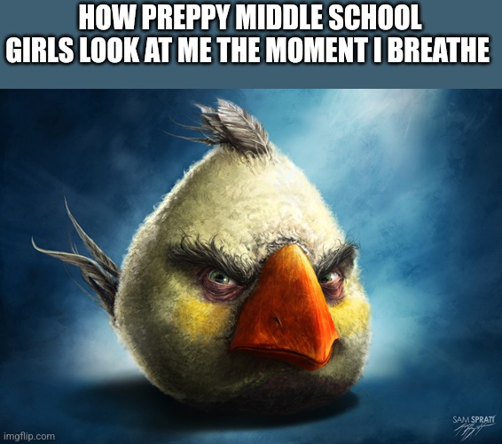 Realistic Angry Bird (Mathilda) | HOW PREPPY MIDDLE SCHOOL GIRLS LOOK AT ME THE MOMENT I BREATHE | image tagged in realistic angry bird mathilda | made w/ Imgflip meme maker