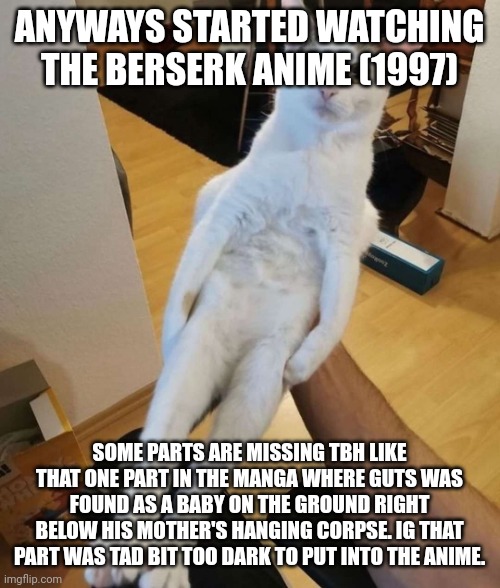 ik theres another anime thats bit more modern but i wanna watch the 1997 version first | ANYWAYS STARTED WATCHING THE BERSERK ANIME (1997); SOME PARTS ARE MISSING TBH LIKE THAT ONE PART IN THE MANGA WHERE GUTS WAS FOUND AS A BABY ON THE GROUND RIGHT BELOW HIS MOTHER'S HANGING CORPSE. IG THAT PART WAS TAD BIT TOO DARK TO PUT INTO THE ANIME. | image tagged in this car think he a chicken | made w/ Imgflip meme maker