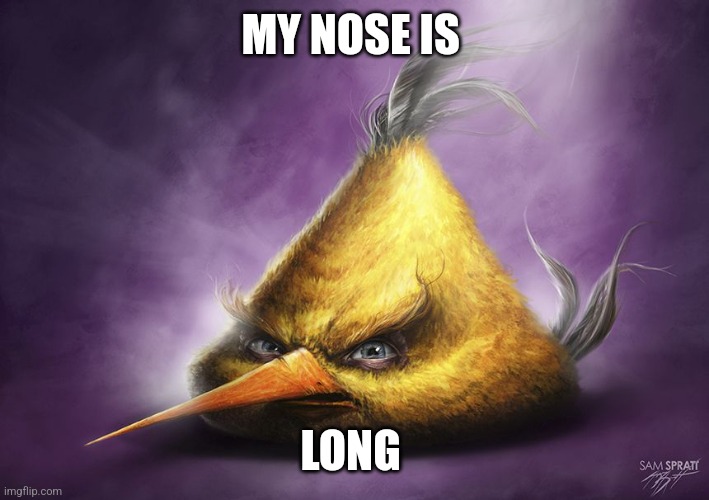 Realistic yellow angry bird | MY NOSE IS; LONG | image tagged in realistic yellow angry bird | made w/ Imgflip meme maker