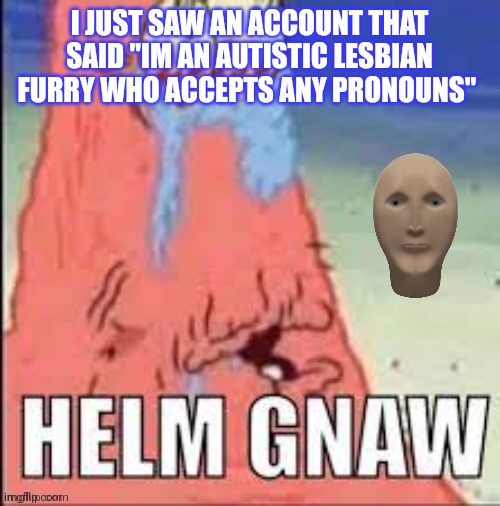 Like bro wtf?!? (i dont wanna be mean but like, dude) | I JUST SAW AN ACCOUNT THAT SAID "IM AN AUTISTIC LESBIAN FURRY WHO ACCEPTS ANY PRONOUNS" | image tagged in helm gnaw,why tho | made w/ Imgflip meme maker