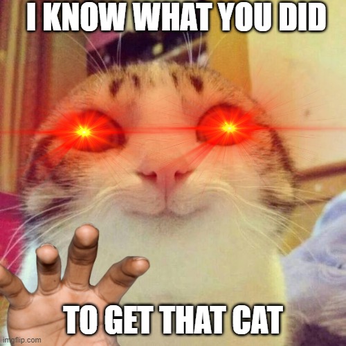 I know all | I KNOW WHAT YOU DID; TO GET THAT CAT | image tagged in memes,smiling cat | made w/ Imgflip meme maker