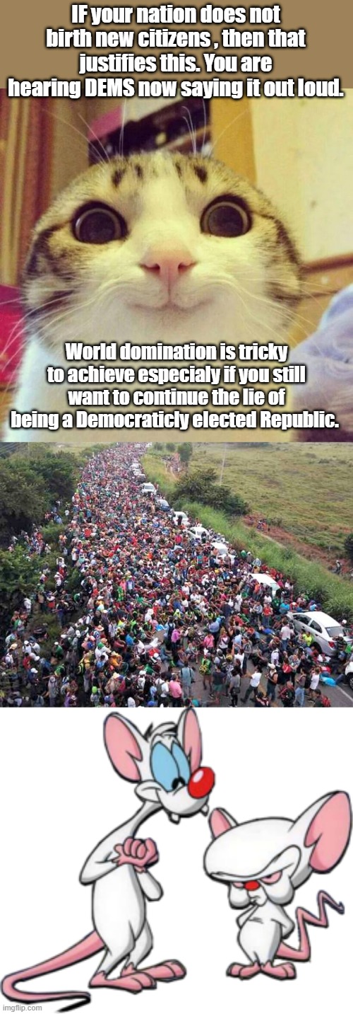 IF your nation does not birth new citizens , then that justifies this. You are hearing DEMS now saying it out loud. World domination is tricky to achieve especialy if you still want to continue the lie of being a Democraticly elected Republic. | image tagged in memes,smiling cat | made w/ Imgflip meme maker