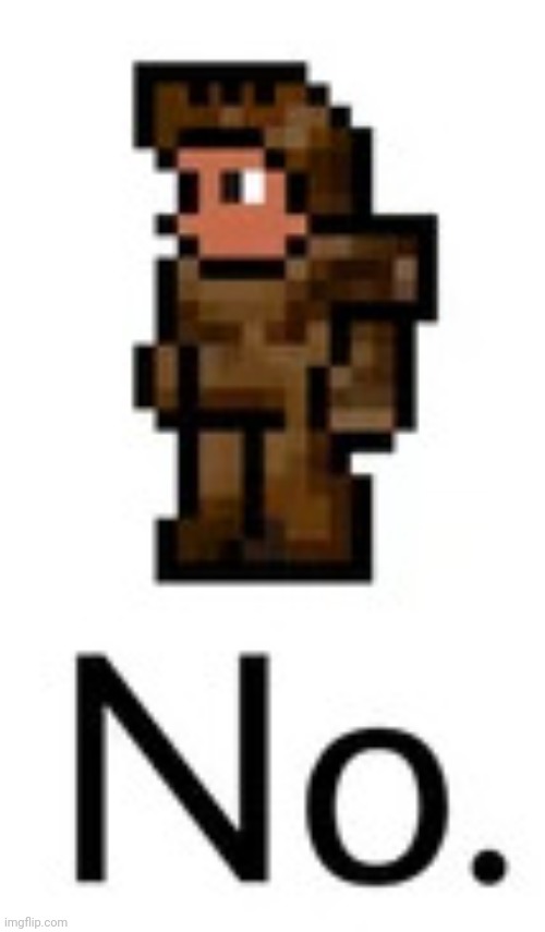 Terrarian says "No." | image tagged in terrarian says no | made w/ Imgflip meme maker