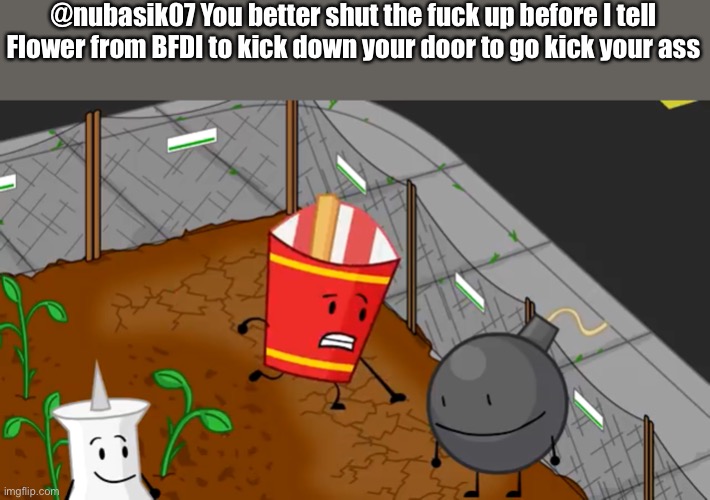 Idfb 1 scene | @nubasik07 You better shut the fuck up before I tell Flower from BFDI to kick down your door to go kick your ass | image tagged in idfb 1 scene | made w/ Imgflip meme maker