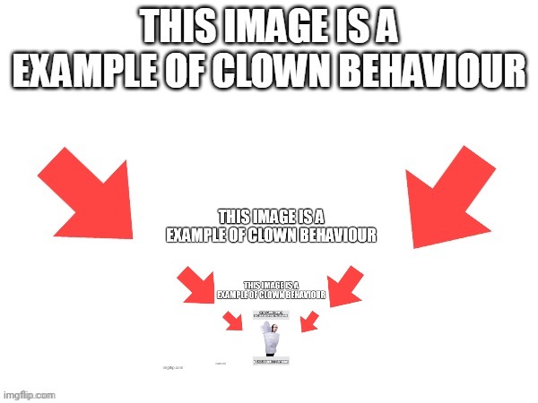 This image is a example of clown behaviour | image tagged in this image is a example of clown behaviour | made w/ Imgflip meme maker