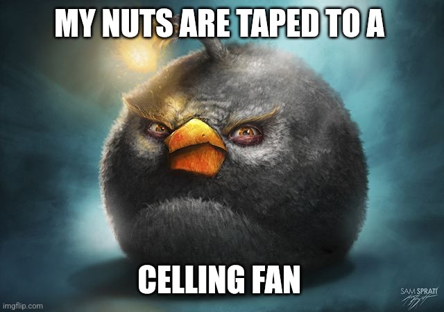 angry birds bomb | MY NUTS ARE TAPED TO A; CELLING FAN | image tagged in angry birds bomb | made w/ Imgflip meme maker