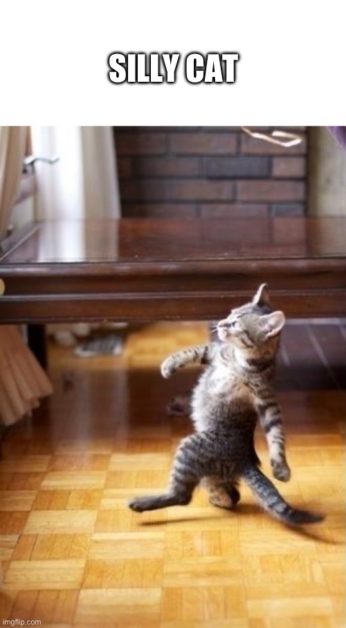 Cool Cat Stroll | SILLY CAT | image tagged in memes,cool cat stroll | made w/ Imgflip meme maker