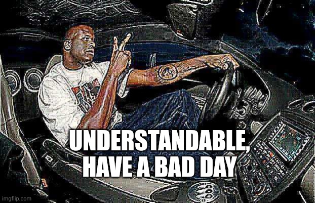 Understandable Have a Great Day but its Blank | UNDERSTANDABLE, HAVE A BAD DAY | image tagged in understandable have a great day but its blank | made w/ Imgflip meme maker