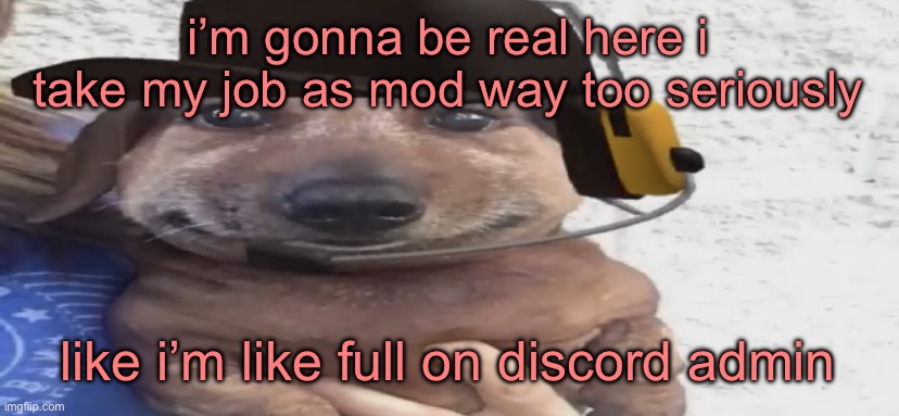 my little kitten, you can’t be breaking the rules! silly little chungus… not very wholesome 100! | i’m gonna be real here i take my job as mod way too seriously; like i’m like full on discord admin | image tagged in chucklenuts | made w/ Imgflip meme maker