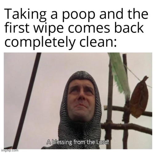 Rare.... but it happens! | image tagged in vince vance,memes,pooping,toilet paper,monty python and the holy grail,a blessing from the lord | made w/ Imgflip meme maker