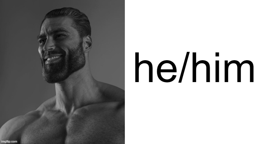 he/him | image tagged in giga chad,memes,blank transparent square | made w/ Imgflip meme maker