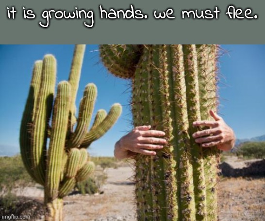 RUN RUN RUN RUN RUN RUN RUN RUN | it is growing hands. we must flee. | image tagged in cactus love | made w/ Imgflip meme maker