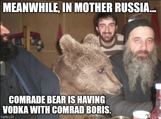 Argh... MOTHERLAND! | MEANWHILE, IN MOTHER RUSSIA... COMRADE BEAR IS HAVING VODKA WITH COMRAD BORIS. | image tagged in russia russia russia,comrad bear | made w/ Imgflip meme maker