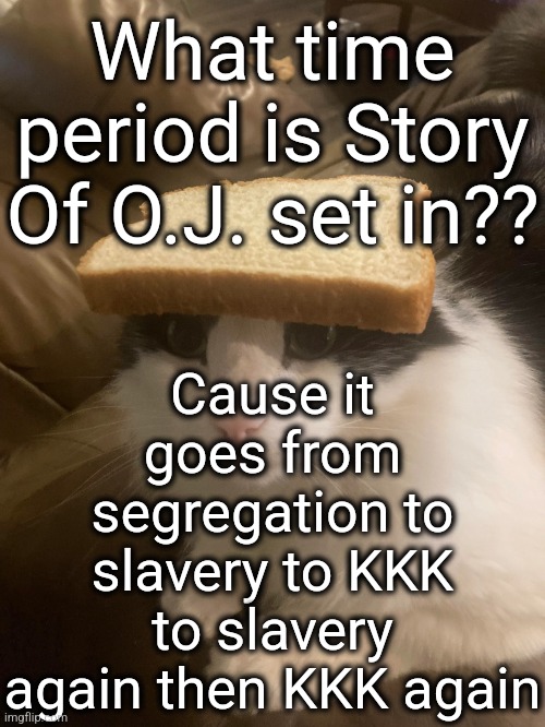 kit goes back in time to even farther back to forward in time to back again | Cause it goes from segregation to slavery to KKK to slavery again then KKK again; What time period is Story Of O.J. set in?? | image tagged in bread cat | made w/ Imgflip meme maker