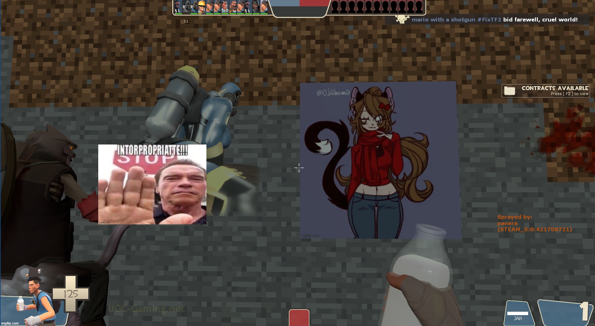 2 types of TF2 players ☠️ | made w/ Imgflip meme maker