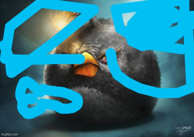 angry birds bomb | image tagged in angry birds bomb | made w/ Imgflip meme maker