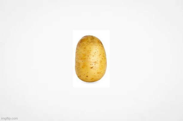 potato | image tagged in potato,fun | made w/ Imgflip meme maker