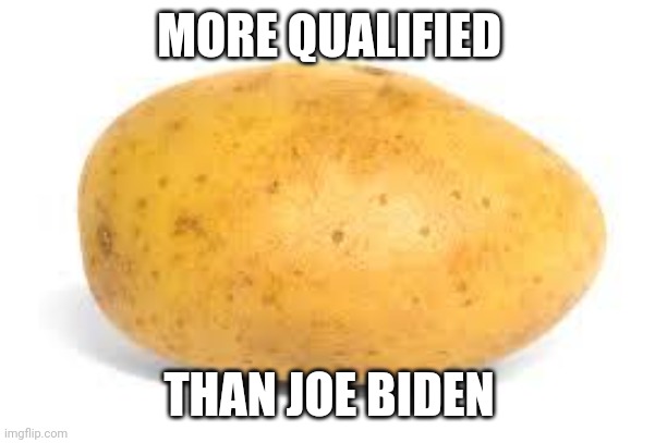 Potato | MORE QUALIFIED THAN JOE BIDEN | image tagged in potato | made w/ Imgflip meme maker