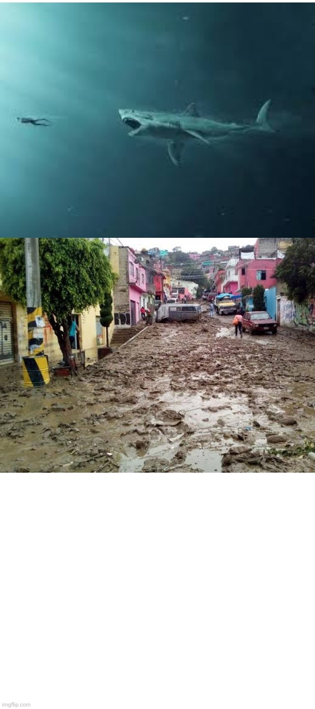 Inundación de lodo en calle de cdmx Jason sthatam Blank Meme Template
