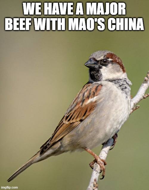 WE HAVE A MAJOR BEEF WITH MAO'S CHINA | made w/ Imgflip meme maker