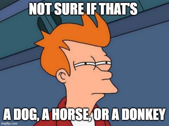 Futurama Fry Meme | NOT SURE IF THAT'S A DOG, A HORSE, OR A DONKEY | image tagged in memes,futurama fry | made w/ Imgflip meme maker