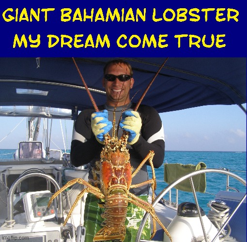 You'd need a Pound of Butter for this Baby! | image tagged in vince vance,giant,lobster,delicious,seafood,crustacean | made w/ Imgflip meme maker