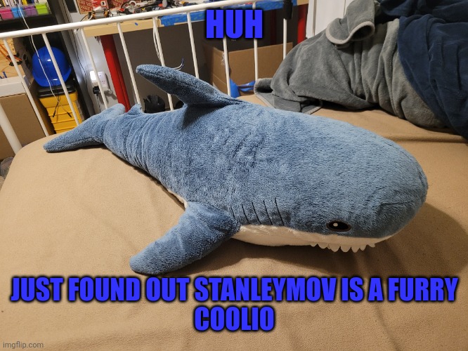 That's not what I was expecting at all | HUH; JUST FOUND OUT STANLEYMOV IS A FURRY
COOLIO | image tagged in my blahaj | made w/ Imgflip meme maker