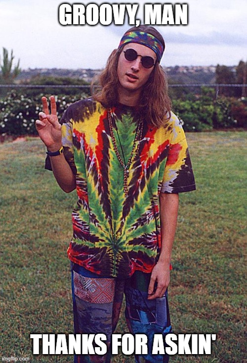 Hippie | GROOVY, MAN THANKS FOR ASKIN' | image tagged in hippie | made w/ Imgflip meme maker