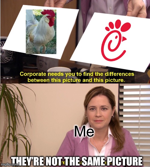 I never thought it looked like a chicken | Me; THEY’RE NOT THE SAME PICTURE | image tagged in memes,they're the same picture | made w/ Imgflip meme maker