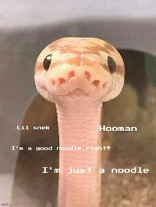 . | image tagged in snek | made w/ Imgflip meme maker