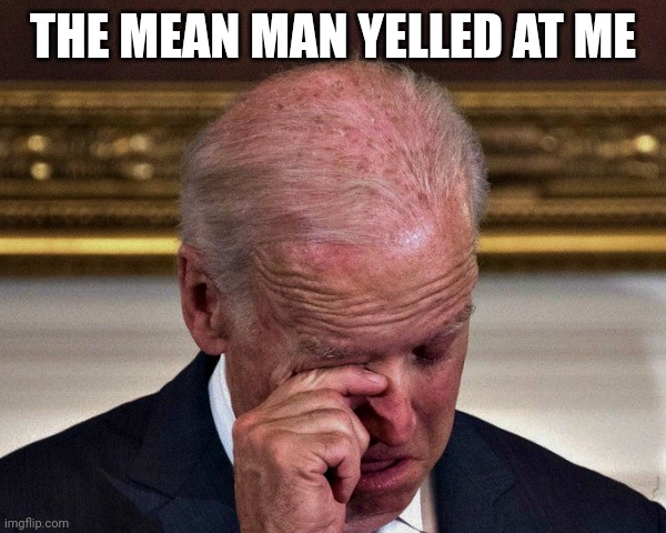 cryung joe | THE MEAN MAN YELLED AT ME | image tagged in cryung joe | made w/ Imgflip meme maker