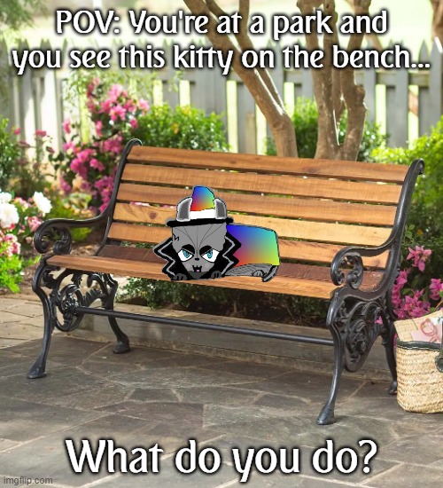 Rules in tags | POV: You're at a park and you see this kitty on the bench... What do you do? | image tagged in park bench,you cannot kill him,no weapons,no buffs,no nerfs | made w/ Imgflip meme maker