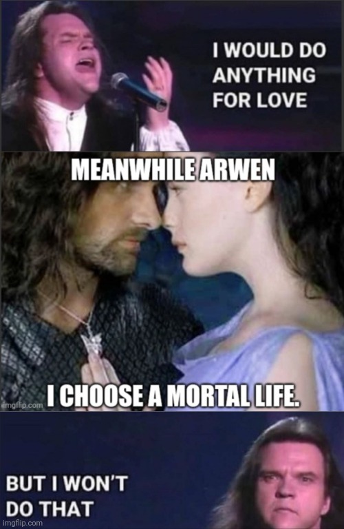 Arwen | image tagged in sagan om ringen | made w/ Imgflip meme maker