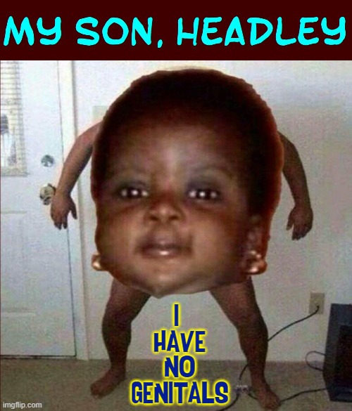 I know the perfect gift for his 1st birthday... a hat. | I 
HAVE
NO
GENITALS | image tagged in vince vance,big head,babies,no body,memes,cursed image | made w/ Imgflip meme maker