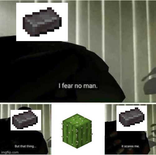 I fear no man | image tagged in i fear no man | made w/ Imgflip meme maker