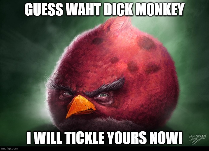 Realistic Terrance | GUESS WAHT DICK MONKEY I WILL TICKLE YOURS NOW! | image tagged in realistic terrance | made w/ Imgflip meme maker