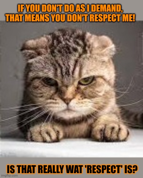 This #lolcat wonders if hoo-mens know what 'respect' is | IF YOU DON'T DO AS I DEMAND,
THAT MEANS YOU DON'T RESPECT ME! IS THAT REALLY WAT 'RESPECT' IS? | image tagged in respect,lolcat,narcissist | made w/ Imgflip meme maker