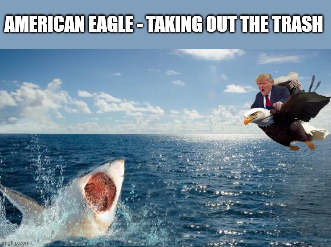 WHEN USING AN AMERICAN EAGLE FOR A PHOTO OP GOES WRONG..... | AMERICAN EAGLE - TAKING OUT THE TRASH | image tagged in donald trump memes,donald trump is an idiot,patriotic eagle,political meme | made w/ Imgflip meme maker