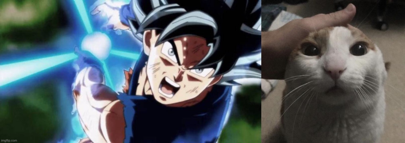 image tagged in ultra instinct goku kamehameha 2,me petting my cat | made w/ Imgflip meme maker