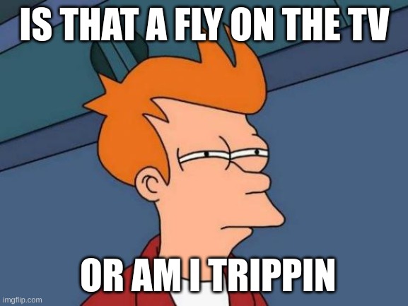 Fly on the tv | IS THAT A FLY ON THE TV; OR AM I TRIPPIN | image tagged in memes,futurama fry,fly | made w/ Imgflip meme maker