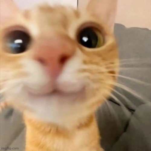 :3 | made w/ Imgflip meme maker