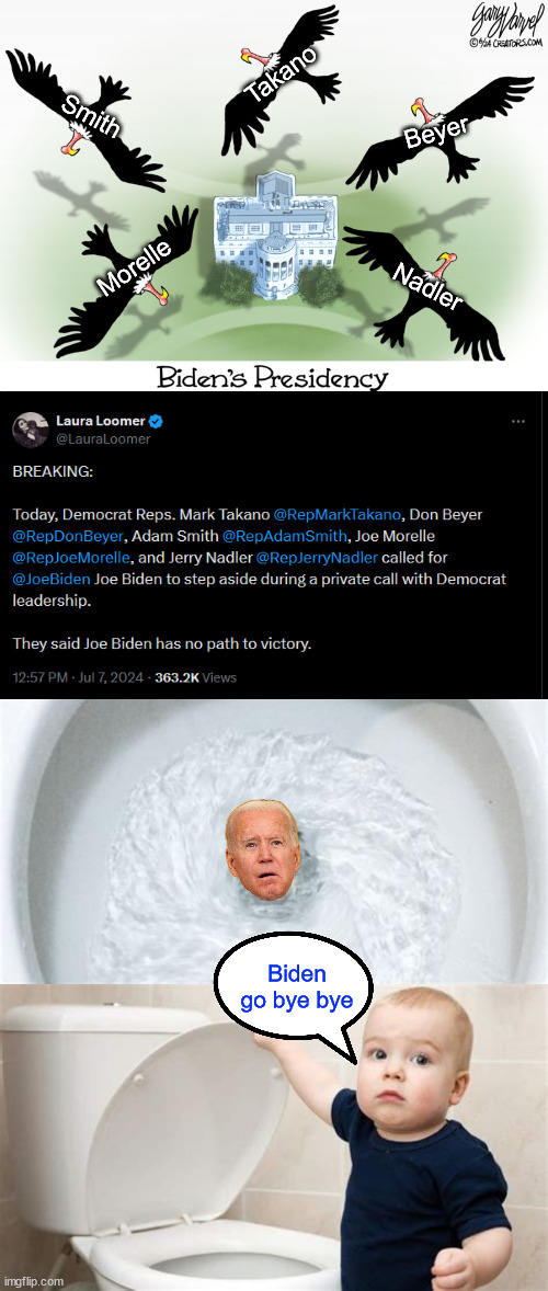 Lot of circling going on in Washington DC these days...  BI Done | Takano; Smith; Beyer; Morelle; Nadler; Biden go bye bye | image tagged in circling,down the toilet,bi done,dem vultures,ready to pick clean the carcass | made w/ Imgflip meme maker