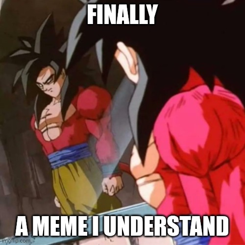 Goku SSJ4 | FINALLY A MEME I UNDERSTAND | image tagged in goku ssj4 | made w/ Imgflip meme maker