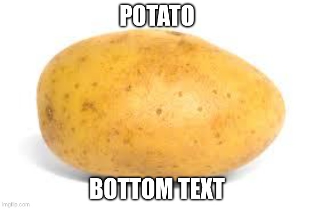 potato | POTATO; BOTTOM TEXT | image tagged in potato,shitpost,funny,anime,oh wow are you actually reading these tags | made w/ Imgflip meme maker