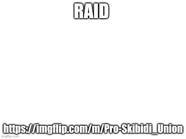 RAID; https://imgflip.com/m/Pro-Skibidi_Union | made w/ Imgflip meme maker