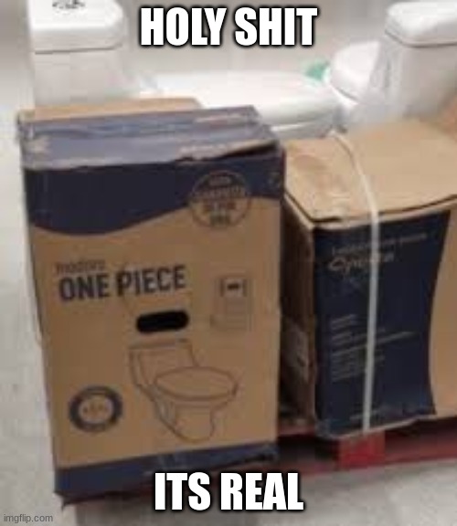 the one piece | HOLY SHIT; ITS REAL | image tagged in one piece | made w/ Imgflip meme maker