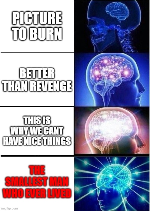 AND YOU DESERVE PRISON BUT YOU WONT GET TIMEEE | PICTURE TO BURN; BETTER THAN REVENGE; THIS IS WHY WE CANT HAVE NICE THINGS; THE SMALLEST MAN WHO EVER LIVED | image tagged in memes,expanding brain | made w/ Imgflip meme maker