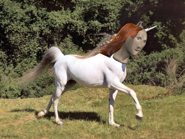 Unicorns | image tagged in unicorn man,stonks,empty stonks,horse,mememan,crypto | made w/ Imgflip meme maker