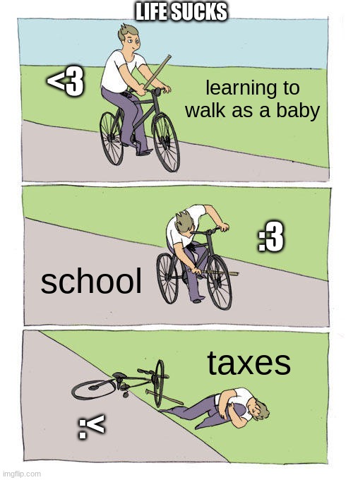 Bike Fall | LIFE SUCKS; <3; learning to walk as a baby; :3; school; taxes; :< | image tagged in memes,bike fall | made w/ Imgflip meme maker